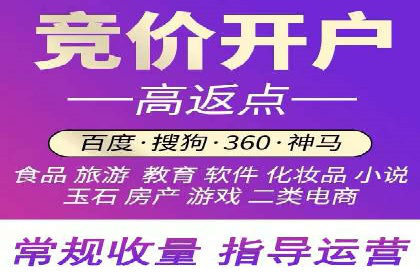 某行业sem竞价托管成功案例：精准投放的秘诀